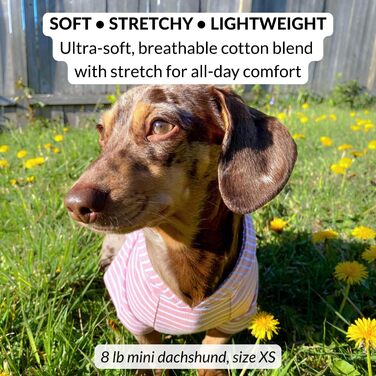 Світшот для собак Джанго, теплий, м'який, з капюшоном, для маленьких собак до 11,3 кг (Такса, цуценята), розмір S, колір: Blush Pink