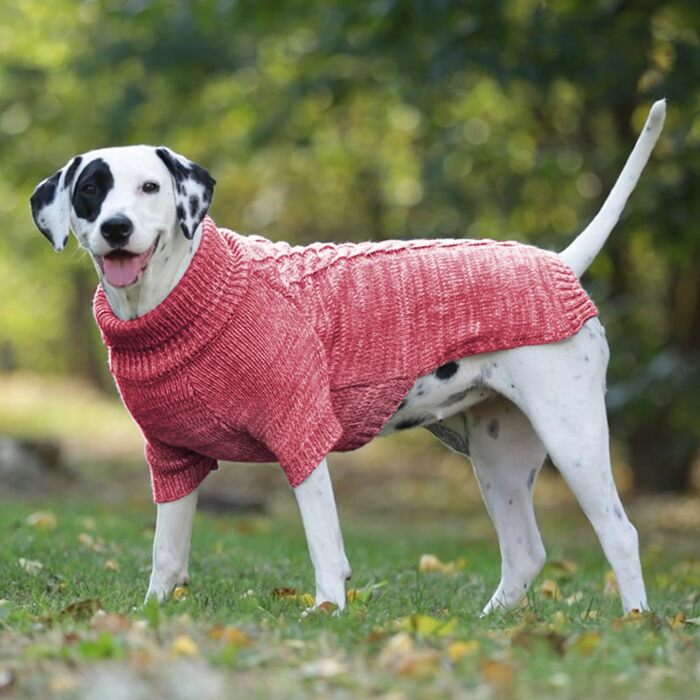 В'язаний пуловер для собак, теплий та м'який, для зими, для цуценят, червоний (S)