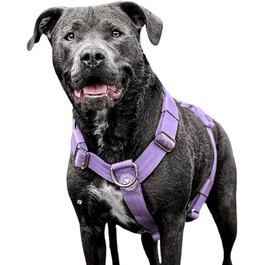 Нашийник для собак Spark Paws No-Pull – фіолетовий, L (36-68 кг) – для великих порід, Pitbull, Боксер