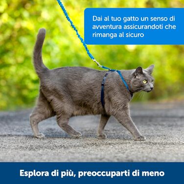PetSafe Easy Walk - шлейка для котів, червона, розмір S, для прогулянок