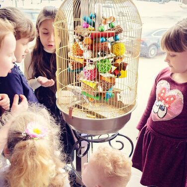 Іграшка для папуг Vogel Papagei, дерев'яні блоки для гри, для сірих, ара, какаду та амазонських папуг (помаранчевий)