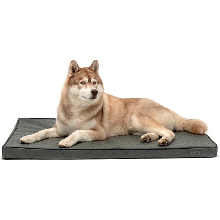 Ортопедичний килимок для собак Lionto з Memory Foam, 80x55 см, з антиковзким покриттям та знімним чохлом