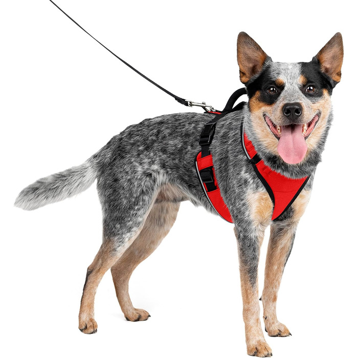 Шлея для собак PetSafe EasySport M, червона, еластичний комір, м'яка ручка, для собак 11,3-22,5 кг