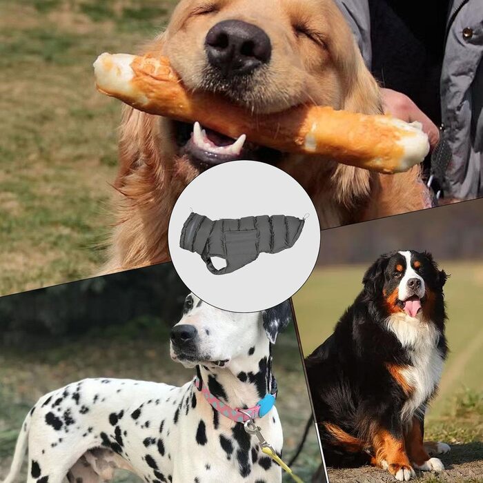 Водонепроникні зимові куртки для собак, тепла захисна куртка для собак, одяг для холодної погоди, аксесуари для собак, зимові, сірі