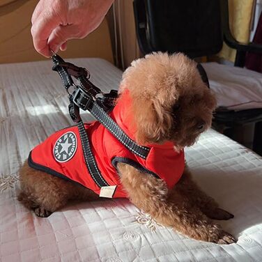 Зимова жилетка для собак, водонепроникний теплий одяг з D-кільцем (зелений, XL) та (червоний, 4XL)