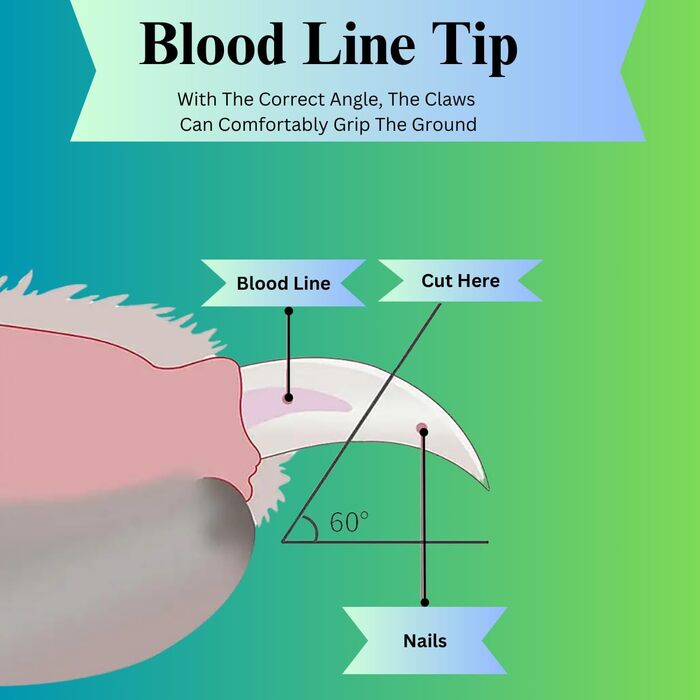 Набір для стрижки та підпилювання кігтів для собак та котів H&A Petcare, професійний, для всіх порід та розмірів, компактний, блакитний