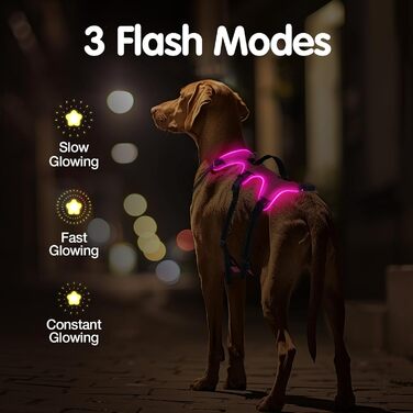 Світловідбиваючий нашийник для собак з LED, перезаряджуваний, зручний, водонепроникний, для середніх та великих собак, зелений (рожевий, M)