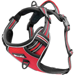 колір: гниль