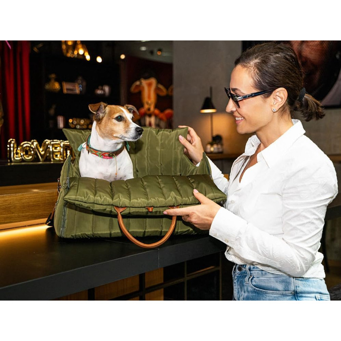 Чорничний собачий рюкзак Flying Dog Sunny 3-в-1: переноска, автокрісло та лежак для собак до 10 кг, оливковий колір