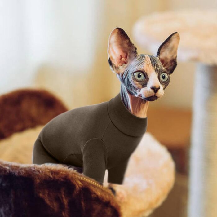 Одяг для котів, пуловер для Sphynx, Cornish Rex, Devon Rex, Peterbal (темно-коричневий, L)