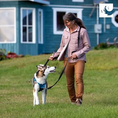 Шлейка для собак RC Pets Tempo, не тягне, розмір XL, бірюзова