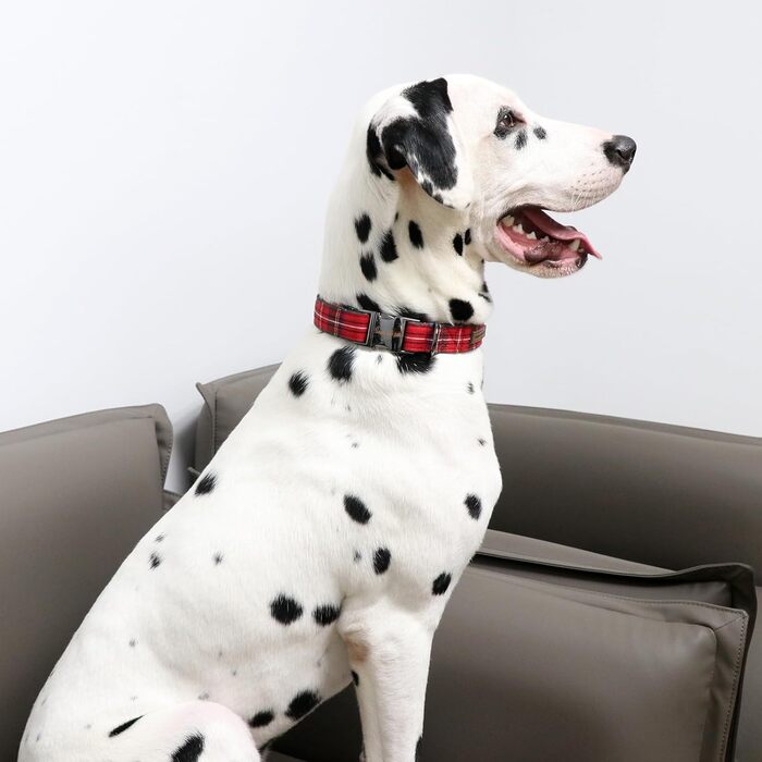 Комір для собак Unique Style Paws, регульований, м'який, зручний, клітинка, для малих, середніх і великих собак, обхват шиї 25,4–40,6 см