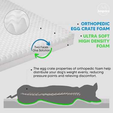 Ортопедичне ліжко для собак середніх порід, вологостійке, з ультрам'якою піною, знімний, пральний чохол та антиковзаюча підкладка, білий та сірий, розмір Medium (31.4'L x 23.6'W x 3.1'Th)