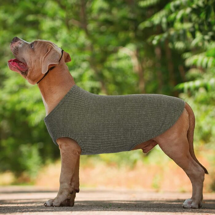 Сорочка для собак Х'юмараян, великі породи, зелена XXL: захист від сонця, еластична, для лабрадорів