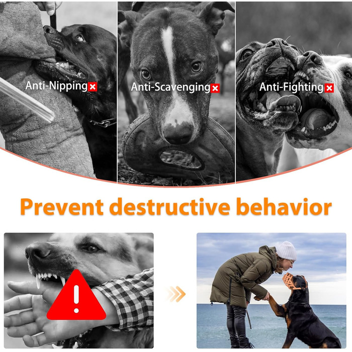 Майерзон Намордник для собак Пітбуль, Ротвейлер, Стаффордширський тер'єр. Захист від укусів, дресирування, грумінг. Зелений, бежевий.