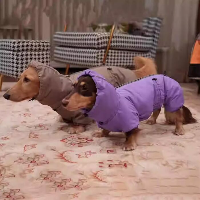 Теплий зимовий одяг для собак: куртка для такс, тепла, вітронепроникна, з блискавкою, зручний комір, розмір S, коричневий, 2XL