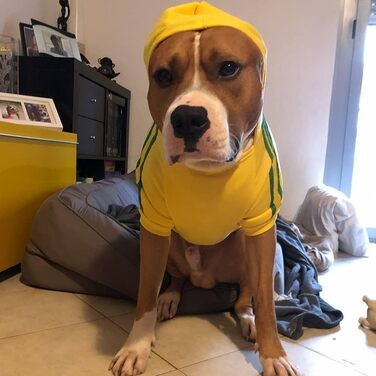 Теплий пуловер/куртка для собак, чорний, розмір 8XL