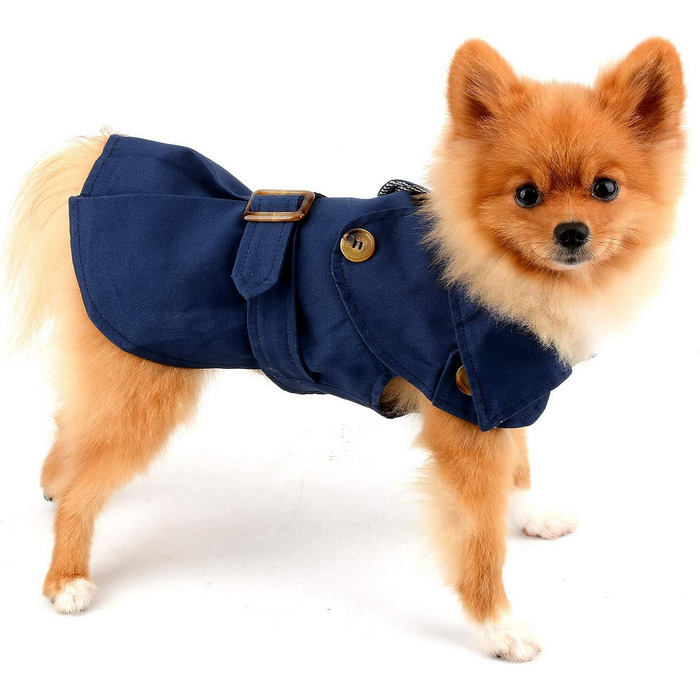 Тренч для собак, дівчаток та хлопчиків, водонепроникний, модний, з поясом, верхній одяг для осені та зими, одяг для цуценят, чихуахуа, йоркширського тер'єра, хакі, розмір XL, блакитний