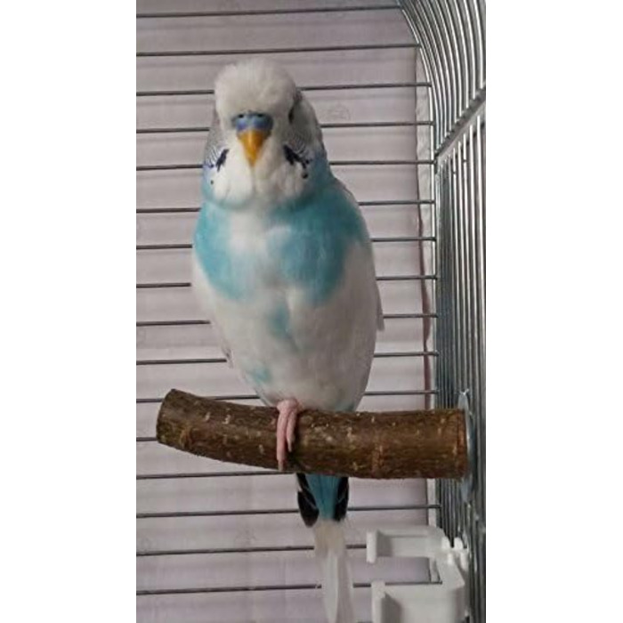 Сидячі жердочки Vogelgaleria для хвилястих папуг, набір пробних натуральних дерев'яних жердочок для клітки