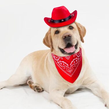 Ковбойський комплект для тварин: капелюх та бандана для собак та котів. Ідеально для святкування дня народження в мексиканському стилі та повсякденного носіння. Червоний, однотонний (Getaway Solids)