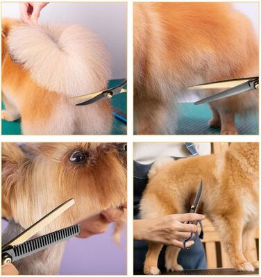 Набір ножиць для грумінгу собак, 7-в-1: ножиці з нержавіючої сталі з безпечними закругленими кінцями, ножиці для стрижки шерсті собак, ножиці для грумінгу котів та собак