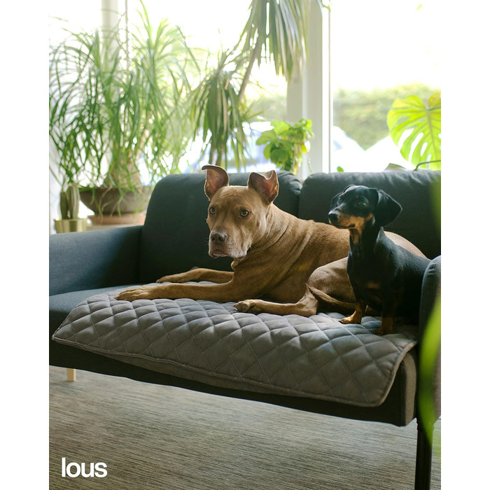 Стильний килимок для собак Lous XXL 120x100 см, бежевий, для великих, середніх і малих собак та котів, праний до 90°C, захист на диван