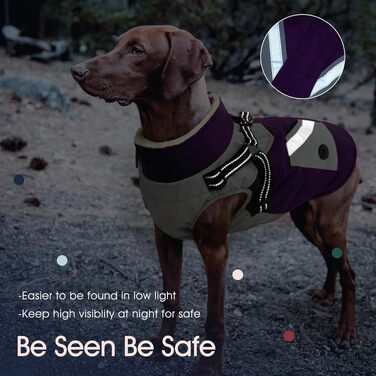 Зимова куртка для собак IECOii зі вбудованою шлеєю, тепла та вітрозахисна, 2XL, фіолетова