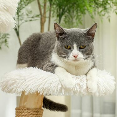 Когтеточка для котів PawHut 61,5 см, біла, з ігровим м'ячем, лежанкою та драпаком, для котів до 5 кг, березове дерево