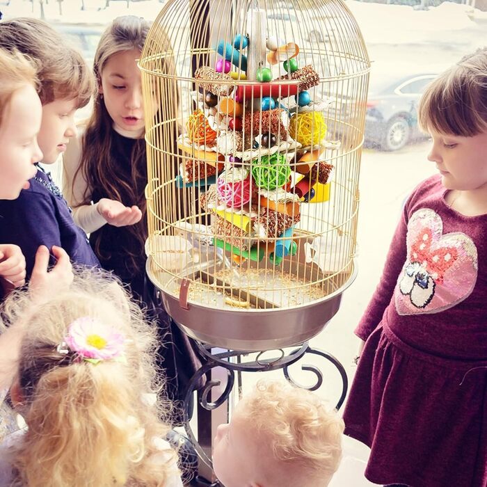 Іграшка для папуг Vogel Papagei, дерев'яні блоки для гри, для сірих, ара, какаду та амазонських папуг (помаранчевий)