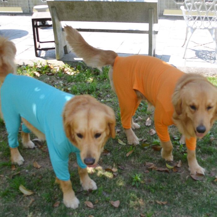 Комбінезон для собак Lovelonglong з чистої бавовни, 4 лапи, для великих та середніх собак, розмір XXL, Зелений (XXXL (Велика собака ~36 кг), Помаранчевий)