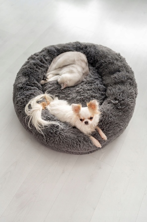 М'яке плюшеве ліжко для собак, сіре, 65 x 65 см