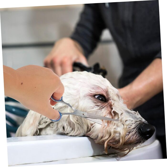 Професійні ножиці для грумінгу собак MILISTEN: набір з вигнутими та прямими ножицями з цинкової сплави, ергономічні