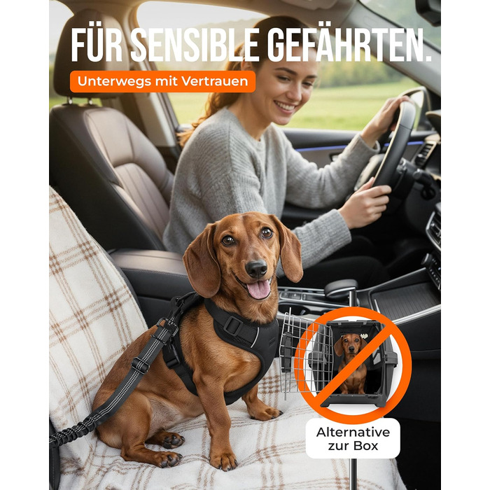 Автогурт для собак 'Argo' – регульований безпечний ремінь з амортизацією та ISOFIX, підходить для всіх порід (Чорний, S, 35-45 см)