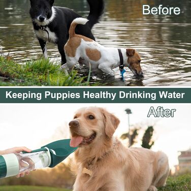 Вода для собак 2-в-1: пляшка та миска для прогулянок, кемпінгу та подорожей