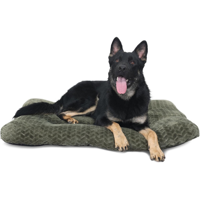 Клітка для собак середнього розміру з м'яким ліжком, 76,2 см, до 18 кг, зелена