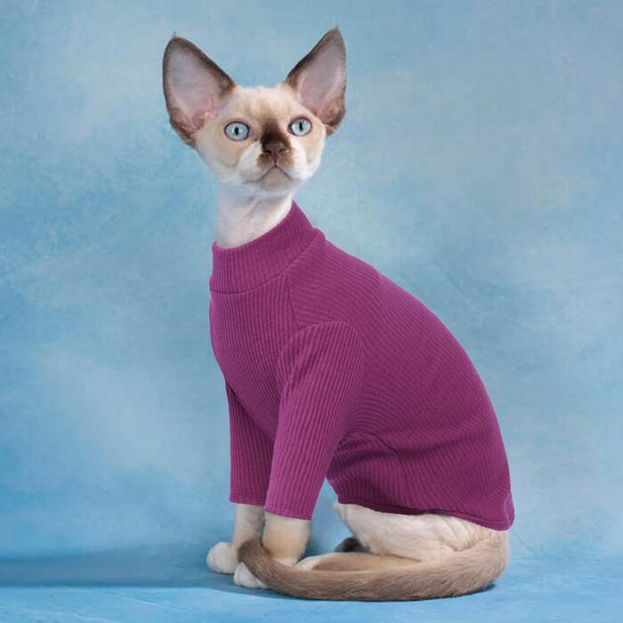 Одяг для безшерстних котів Sphynx: м'який пуловер з ролeкроєм та футболка з круглим вирізом (Чорний, XXL)