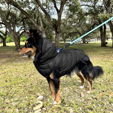 Ветровка для собак Pawtitas, вітронепроникна, водовідштовхувальна, чорно-блакитна, для великих порід, з кишенею, X-Large (упаковка 1)