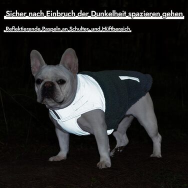 Зимовий теплий жилет для собак з інтегрованим шлейкою, водо- та вітронепроникний, світловідбиваючий, зручний, регульований (Блакитний, 3XLP, обхват грудей 55 см)