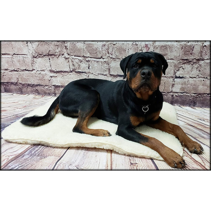 Activedogs Sherpa Hundebett: антибактеріальне, машинне прання, 46x51 см