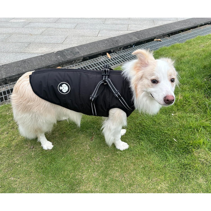 Водонепроникна тепла куртка для собак на шлейці, зимовий одяг для малих, середніх та великих собак, підходить для Лабрадорів, Чихуахуа, Французьких бульдогів. Колір: зелений (S (2-3 кг), чорний)