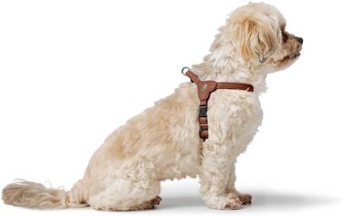 Нашийник для собак HUNTER SOHO MINI, колір: коричневий (cognac), з натуральної шкіри, м'який, не травмує шерсть, легкий, для маленьких собак та цуценят, Made in Germany, розмір XXS-XS/2