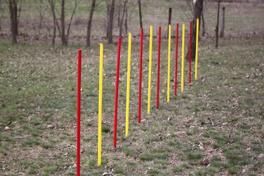 Набір для тренувань Wuzzmann Agility - Слайт-конуси (12 шт), червоно-жовтий