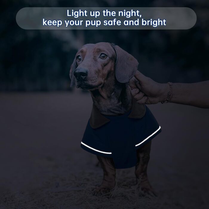 Водонепроникна зимова куртка для собак Дакель, тепла підкладка, дизайн як у светра, для мініатюрних такс при холодній погоді, прогулянках, снігу, активному відпочинку на природі - Синій XL