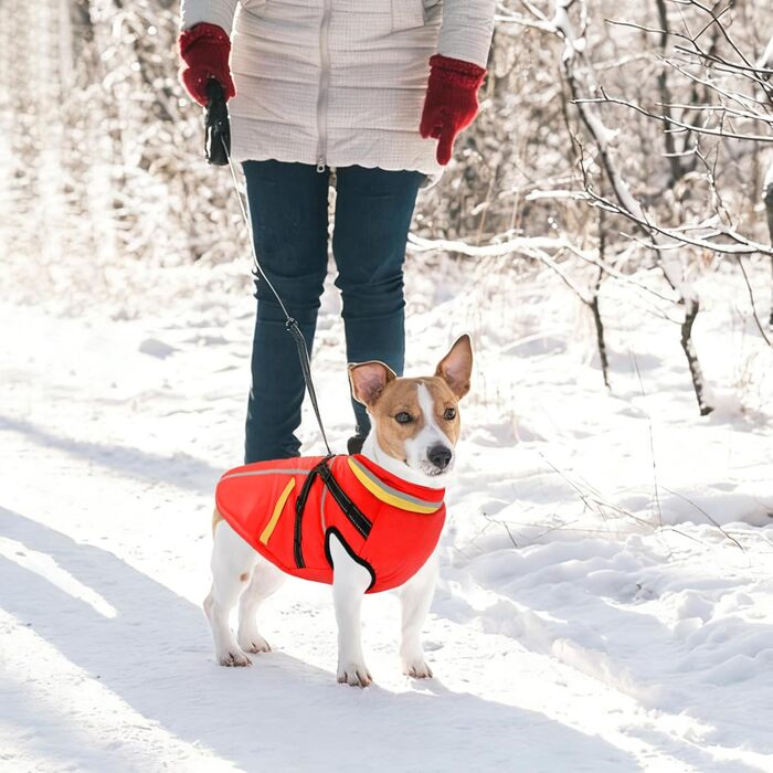 Теплий зимовий одяг для собак FeimaX: флісова куртка з блискавкою, для малих та середніх собак (червоний, 3XL)