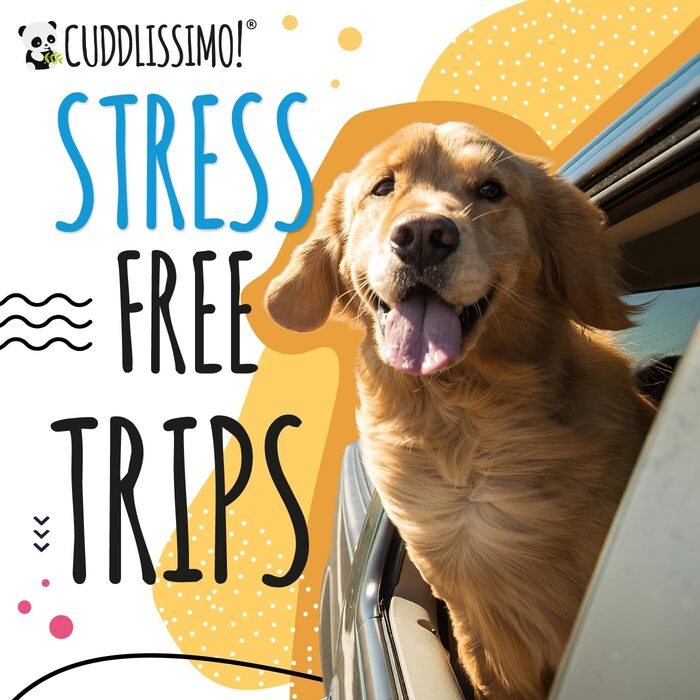 Сумка-переноска для тварин, м'яка, для собак, кошенят та малих порід (до 4,5 кг), блакитний лагуна