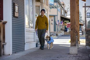 Пуловер для собак RUFFWEAR Hemp Hound, преміум-якість, з органічної бавовни, легкий та теплий, для всіх порід, розмір M (фіолетовий)