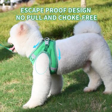 Нашийник та поводок для цуценят, комплект для прогулянок, нашийник-трансформер, м'який, дихаючий, аксесуари для домашніх тварин, світловідбиваючі смуги, для дуже маленьких собак та котів, XXXS (Обхват грудей: 8.5 - 10 см), Зелений, XXXS