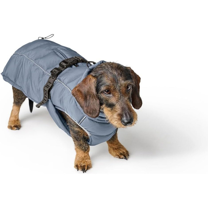 Теплий водовідштовхуючий теплий одяг для собак HUNTER Paxson для такс, колір карамель, розмір 40, з відбиваючими елементами