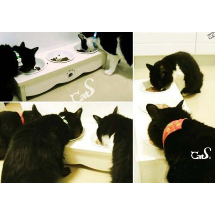 Набір мисок для котів CatS Design: кераміка та дерево, 3 шт. - годівниця для котів, миска для корму, безпечна для миття в посудомийній машині