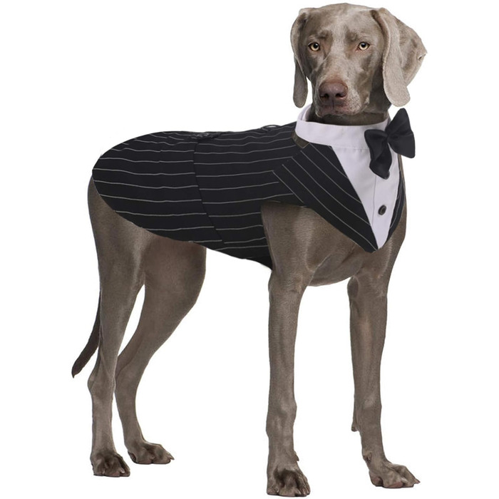 ЕлегантнийSmoking для собак середніх та великих порід, костюм для вечірки, весілля, Cosplay, набір з краваткою та нагрудником (2XL, чорні смуги)